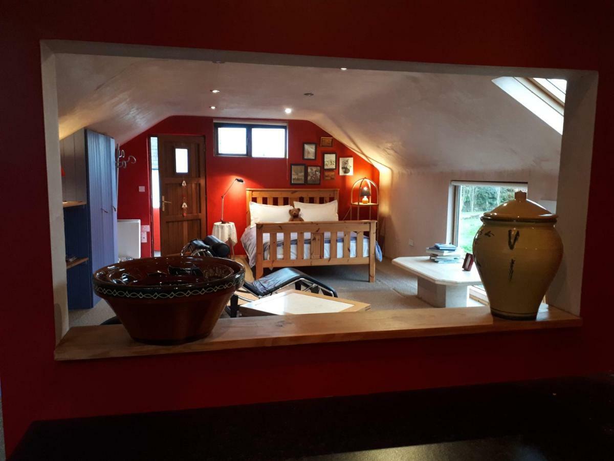The Village Studio Apartments Moate Dış mekan fotoğraf
