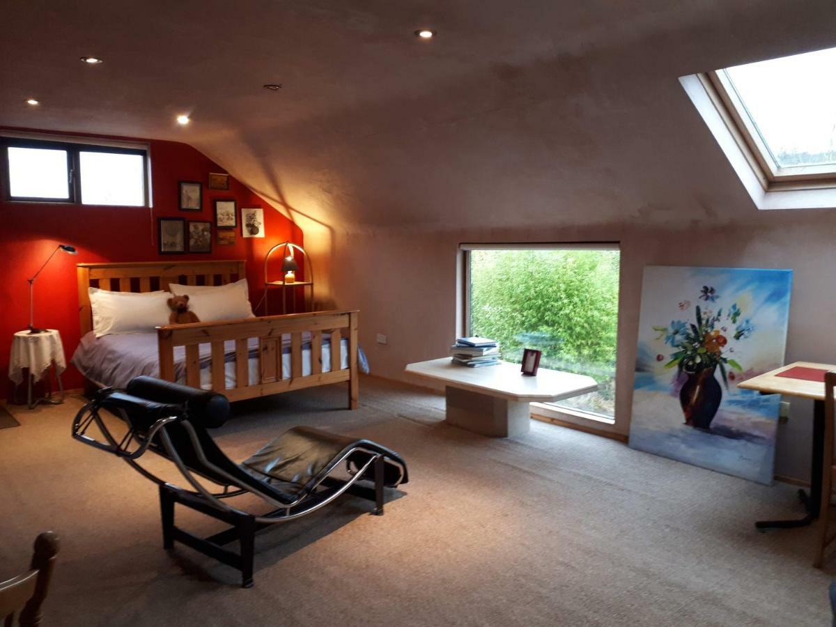 The Village Studio Apartments Moate Dış mekan fotoğraf
